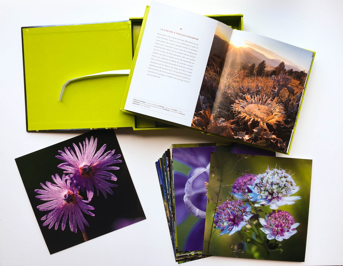 Fleurs des montagnes : Belles d'altitude coffret