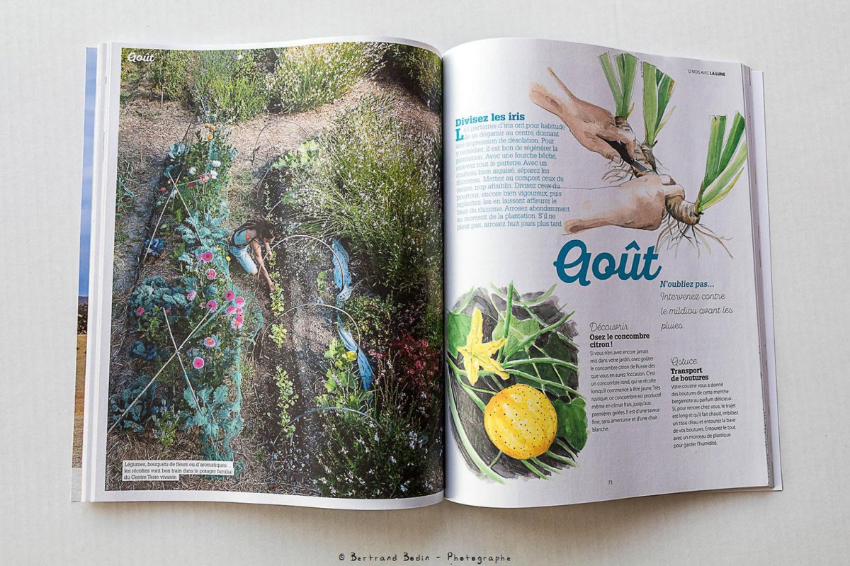 Hors-série des 4 Saisons du jardin bio-Août