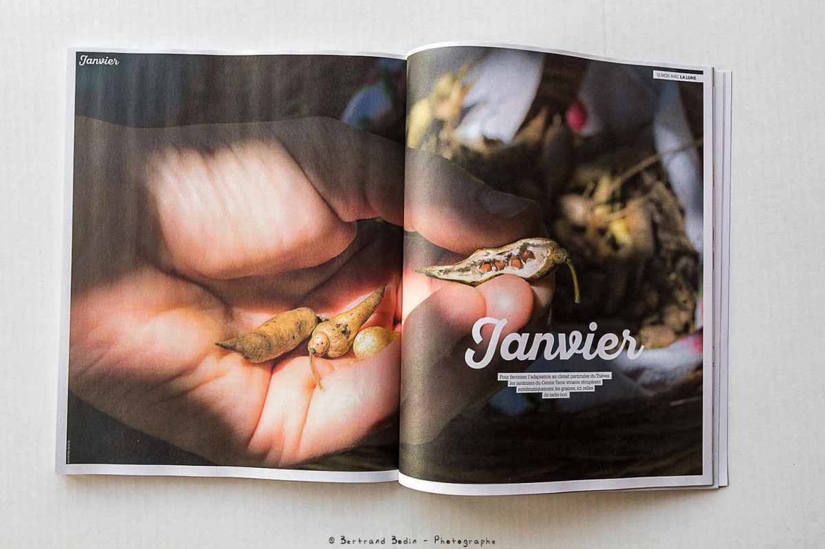 Hors-série des 4 Saisons du jardin bio-Janvier