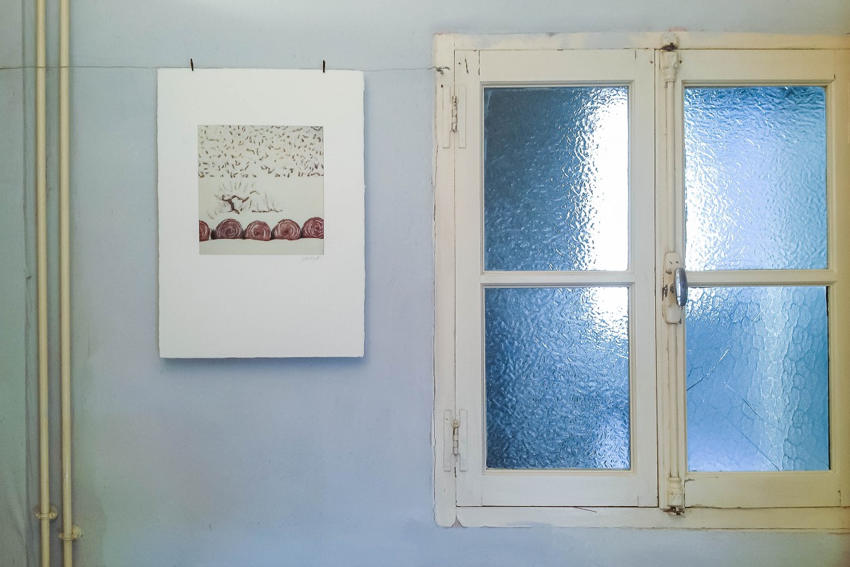 Exposition "Arbres et petites forêts"  Polaroid de Bertrand Bodin Photographe