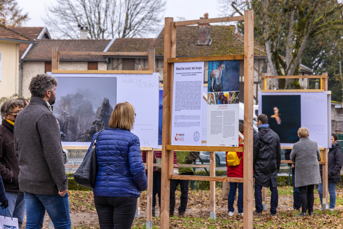 Marche avec les loups, exposition photographique de Bertrand Bodin, Festival de Montier