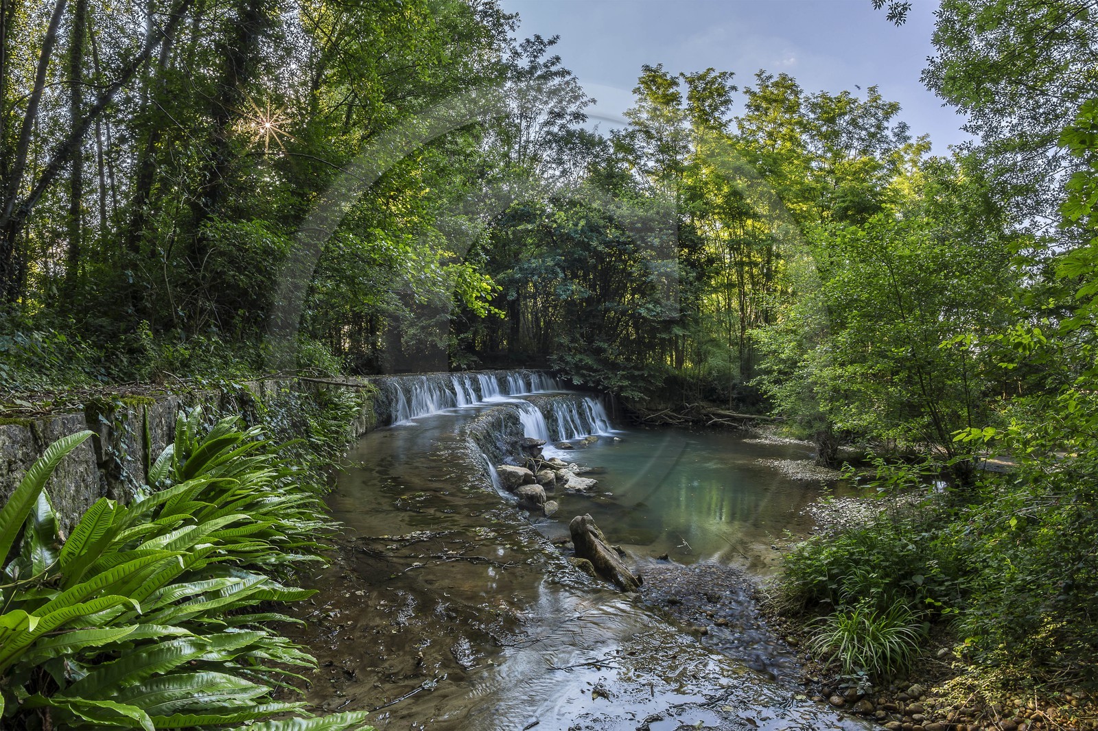 ENS de l'Isère, Zone humide de la Merlière