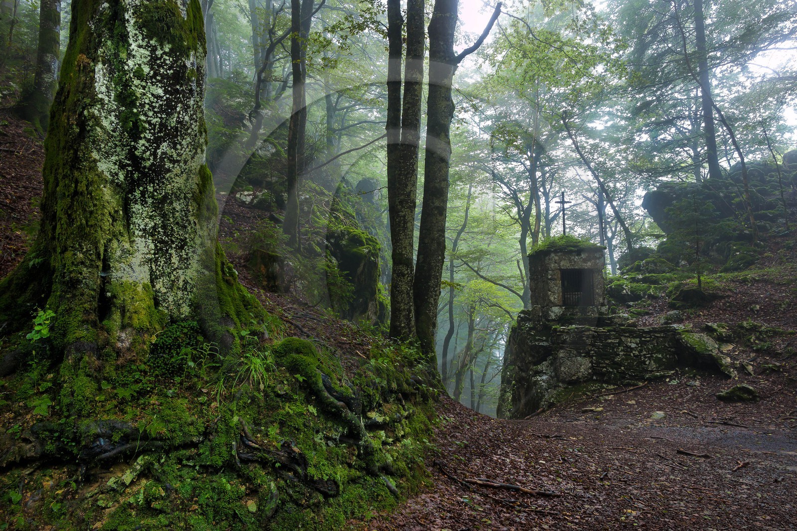 ENS de l'Isère, Les Ecouges, oratoire du passage du Versoud