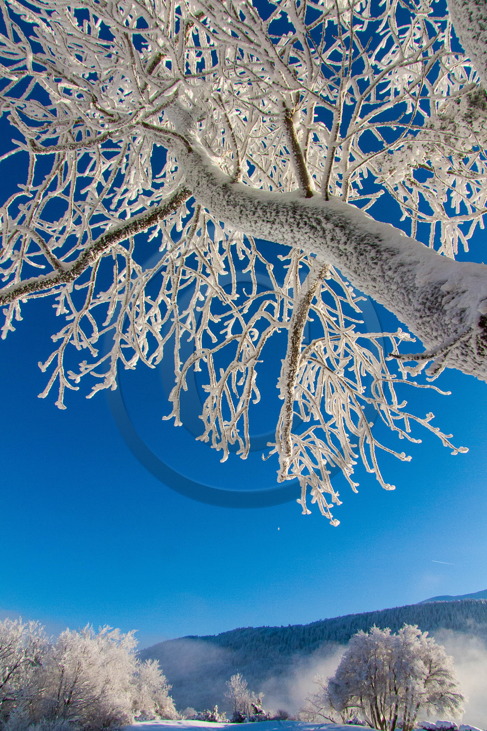 Laffrey, route Napoléon