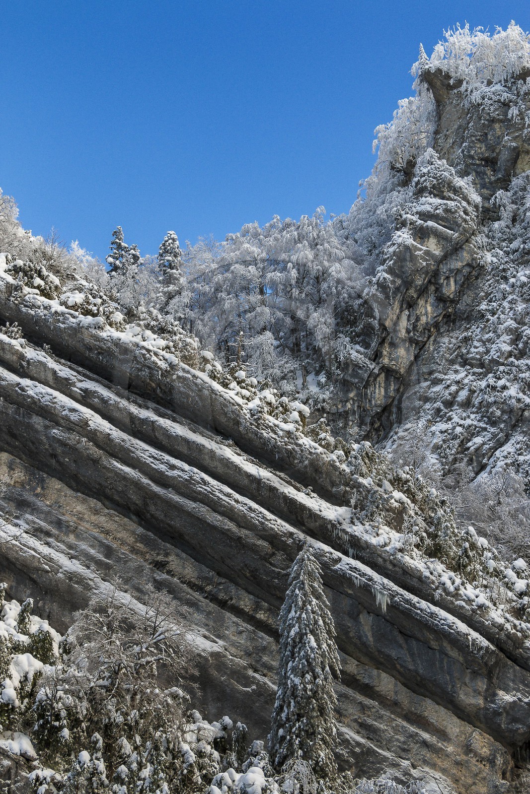 ENS de l'Isère, Les Ecouges