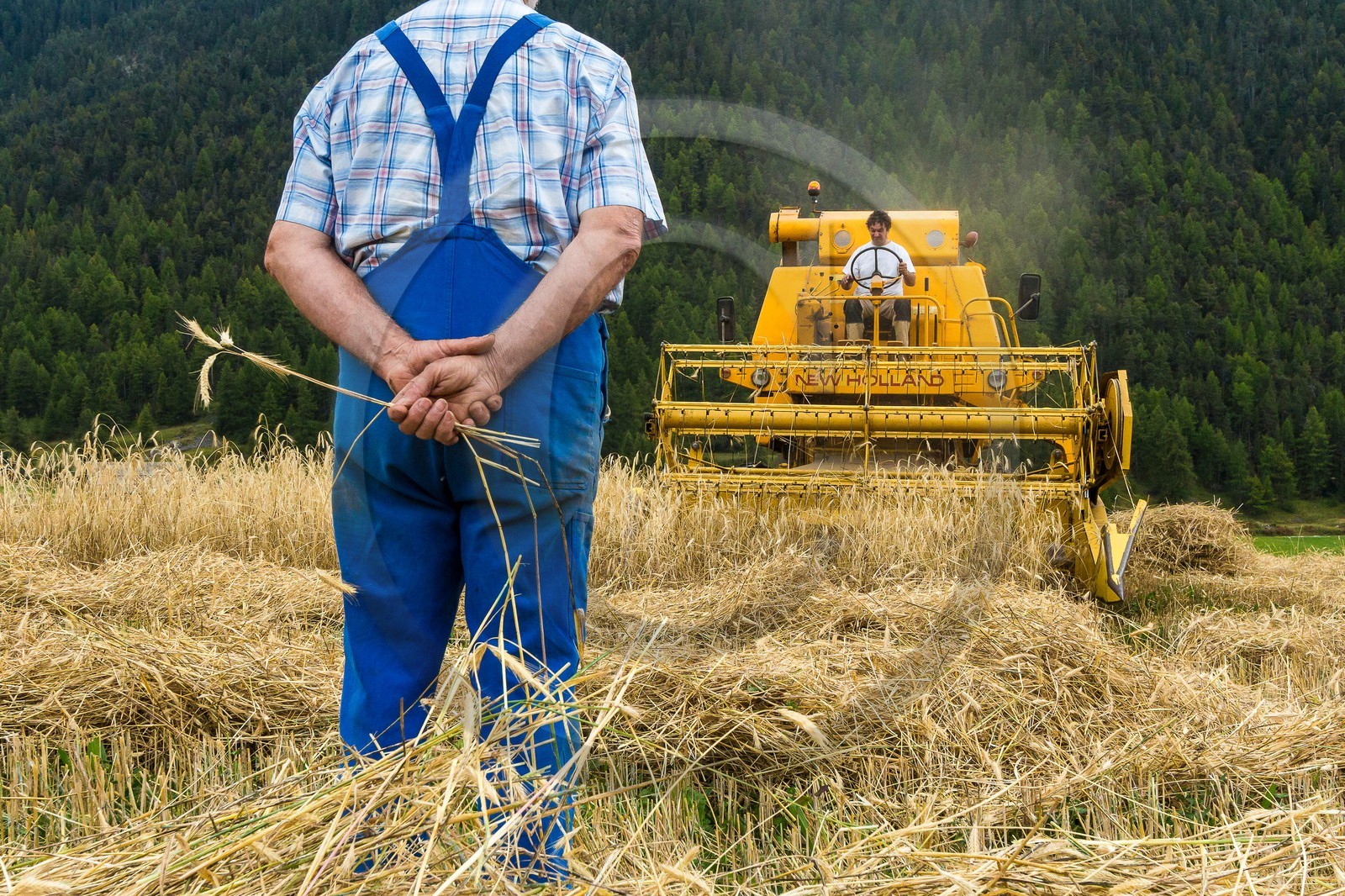 Ceillac, Christophe Gauthier, Exploitant agricole