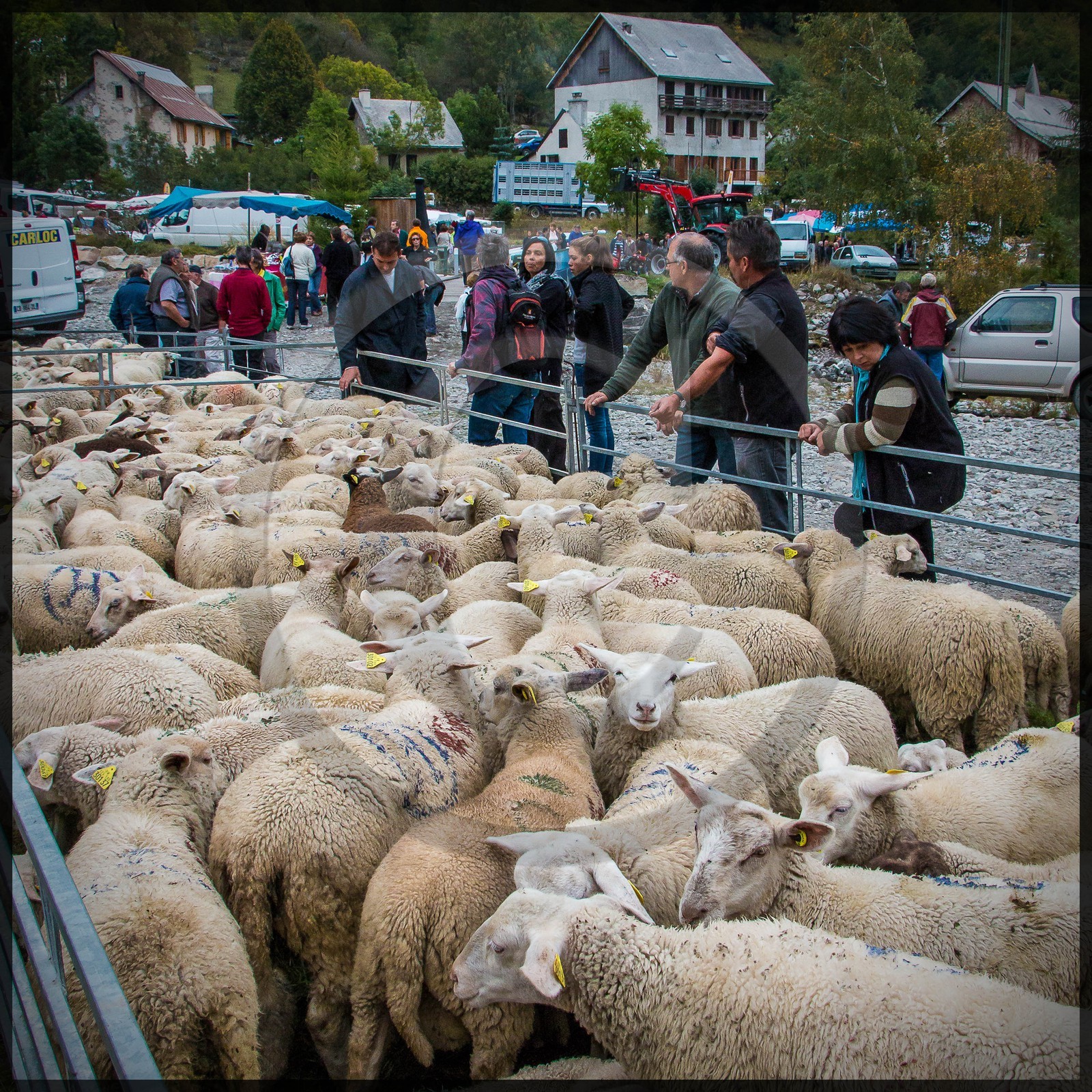 Vallée de Champoléon, Les Borels, foire au tardon