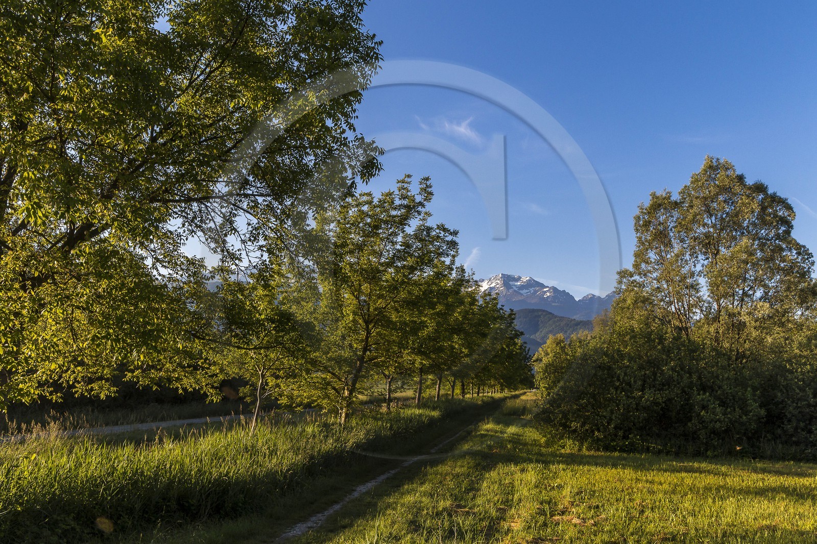 ENS de l'Isère, Marais de Montfort