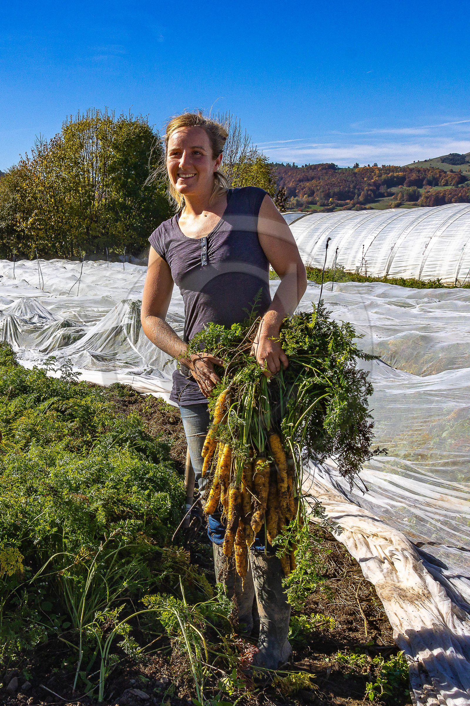 LéguMontagne,  Bertille Gieu, Maraîchère bio