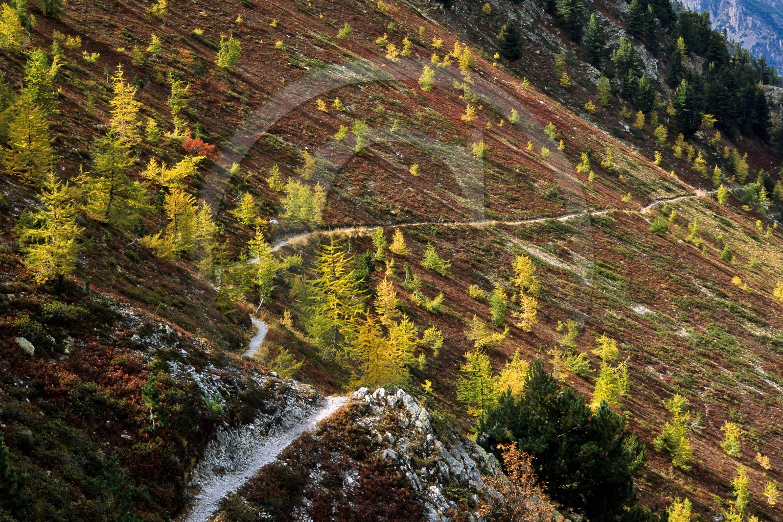 Sentier du col Fromage