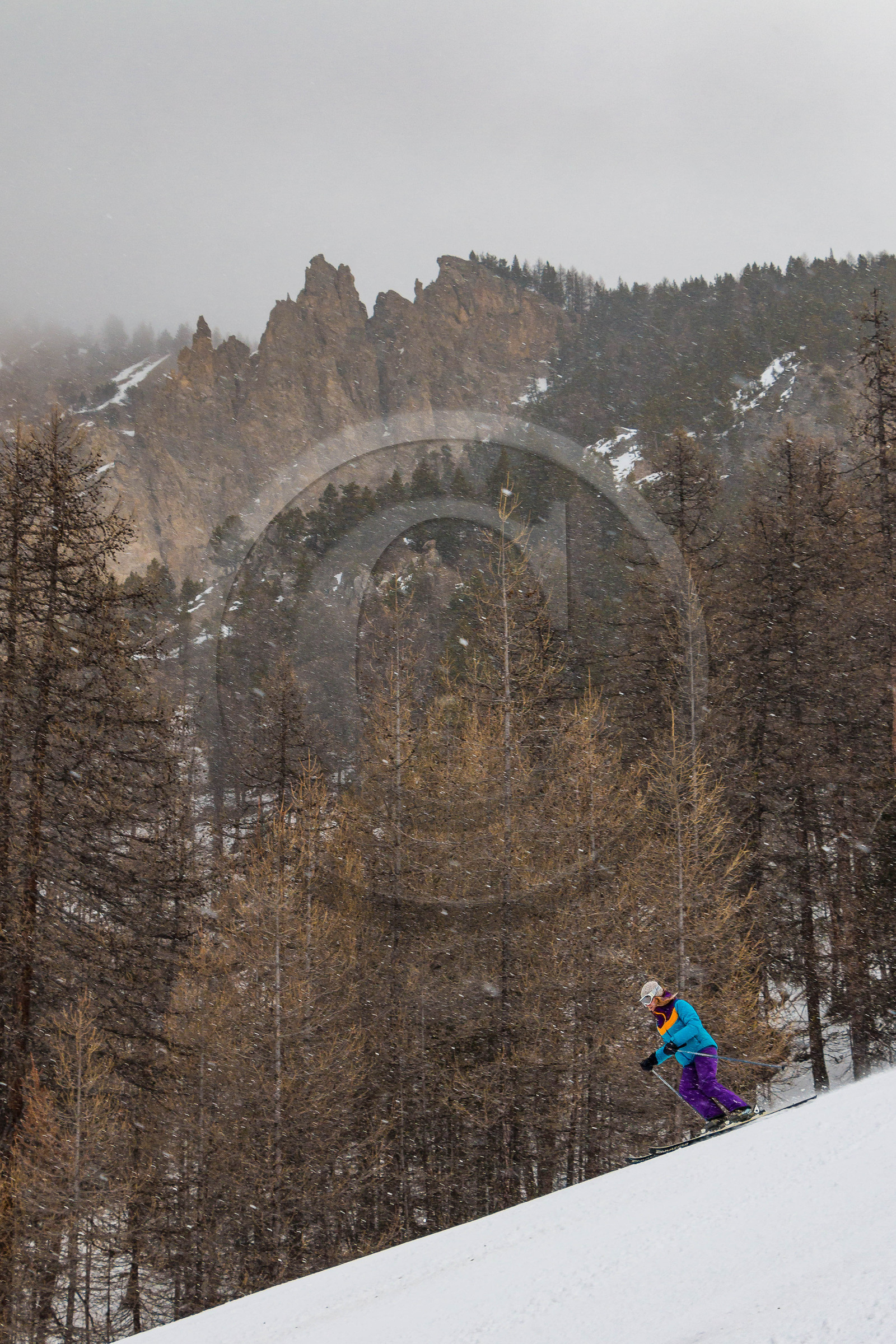 Parc naturel régional du Queyras