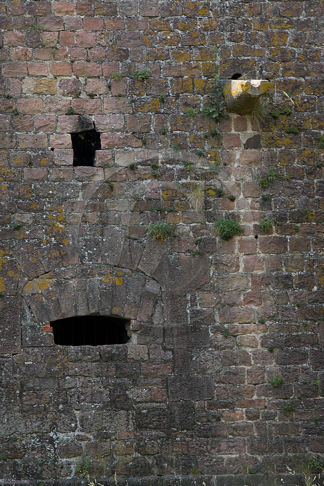 Neuf-Brisach, Fortifications Vauban inscrites au patrimoine mond