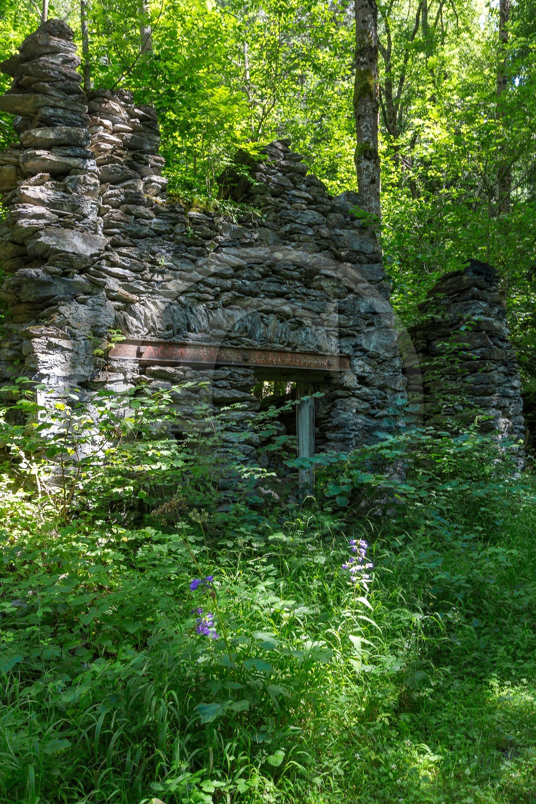 ENS de l'Isère, Vieille morte de Bourg d'Oisans