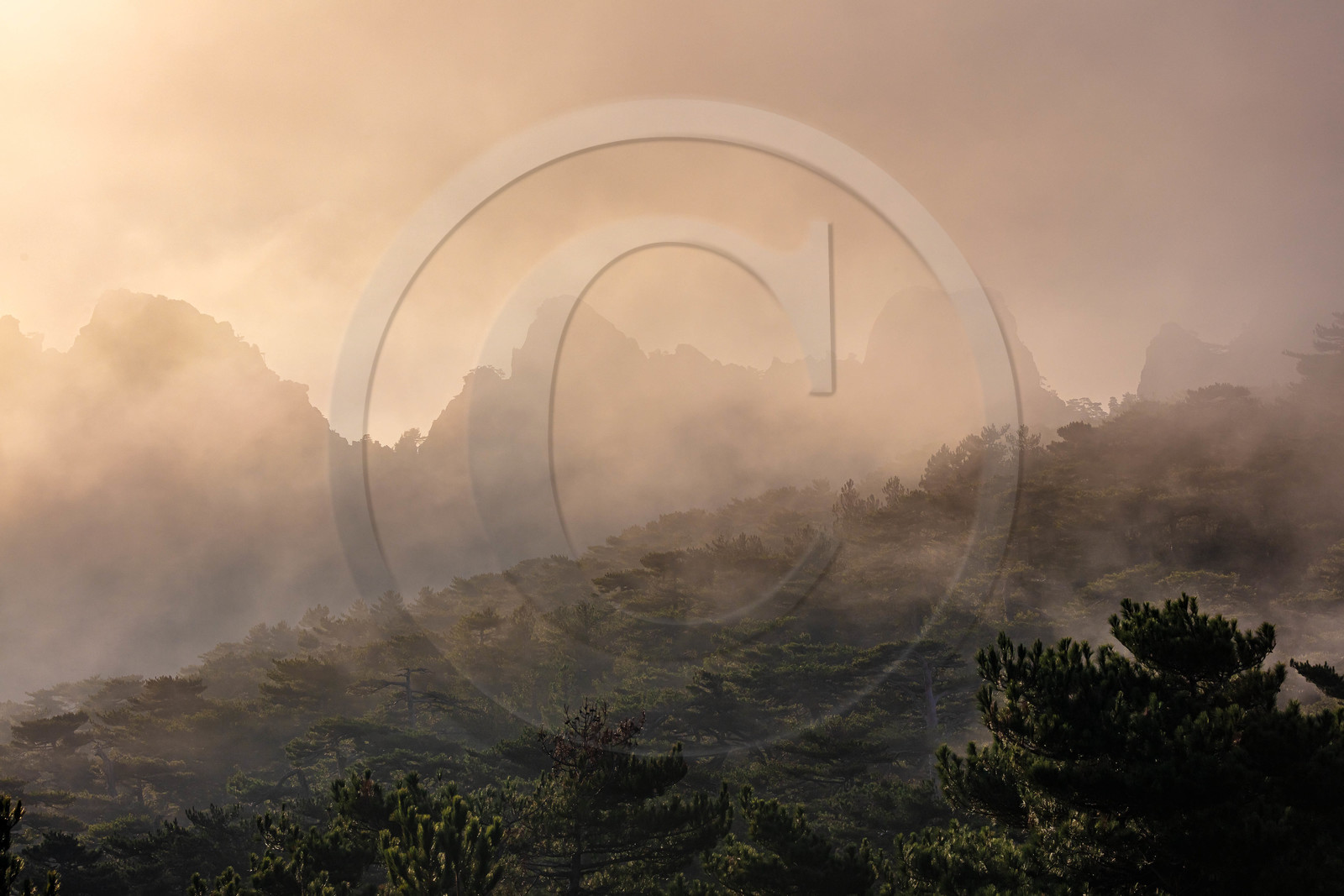 Les Aiguilles de Bavella (forchi di Bavedda )