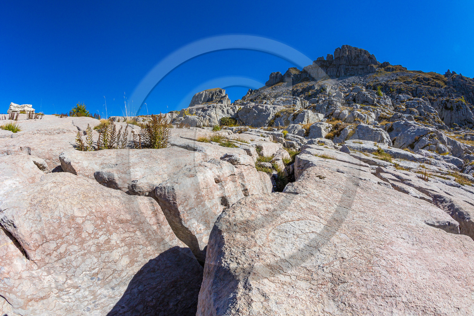 Les Oucanes de Chabrières