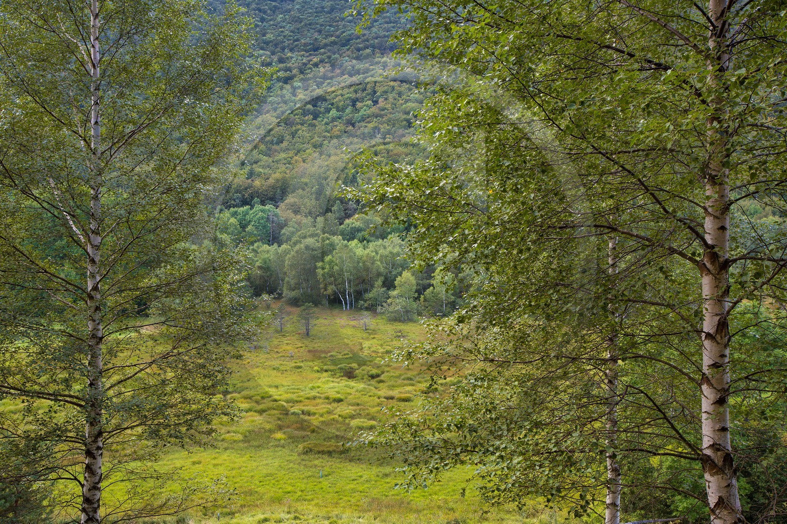 ENS de l'Isère,Tourbières du Peuil