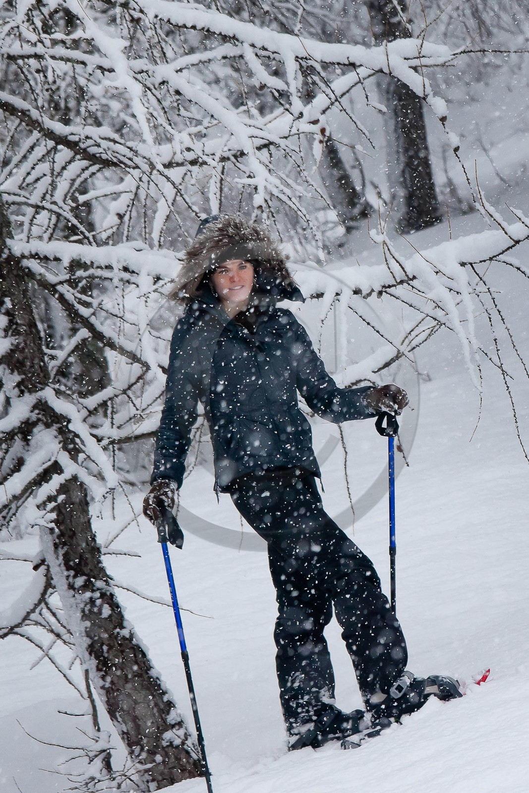 Randonnée, balade en raquettes à neige