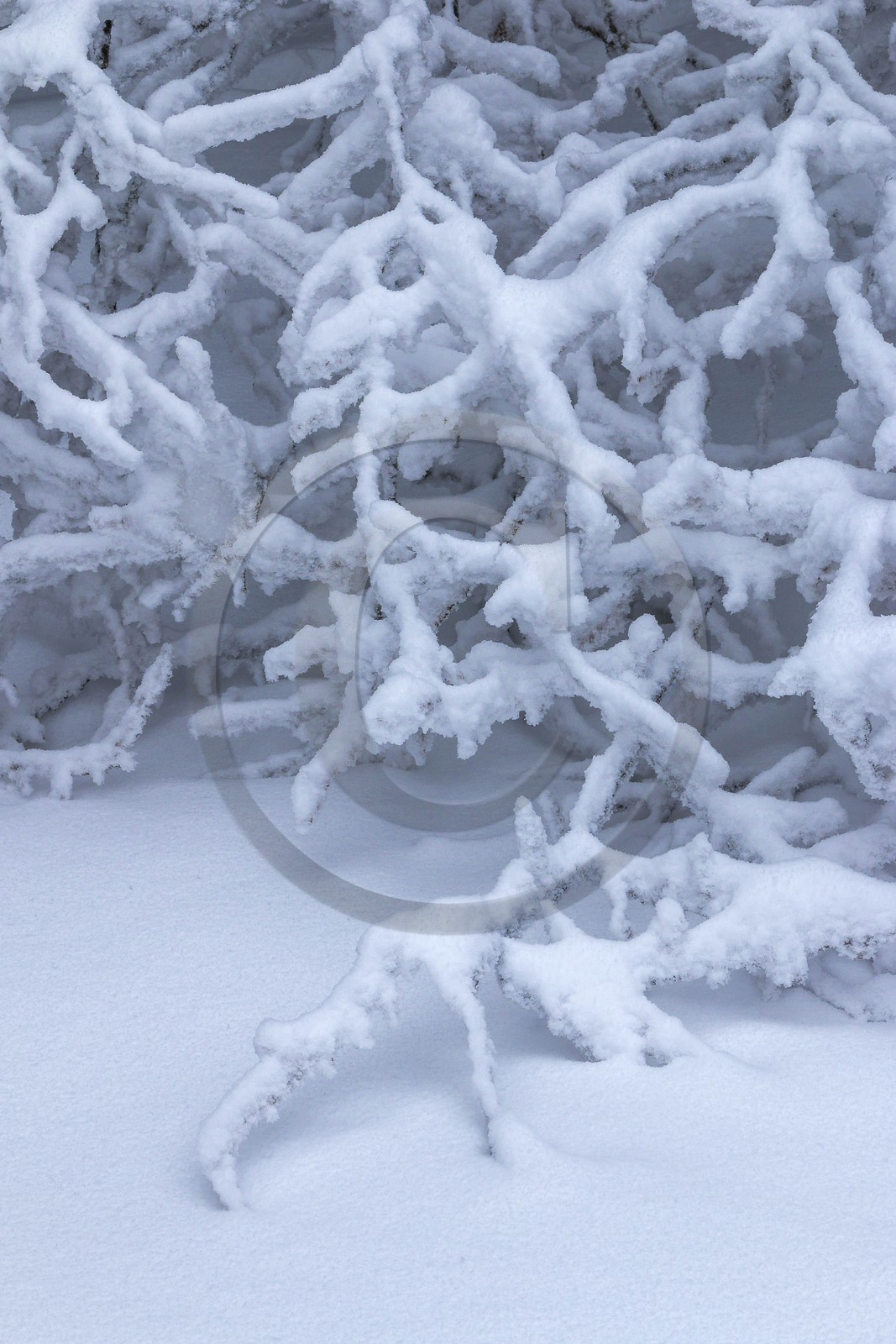 ENS de l'Isère, Les Ecouges