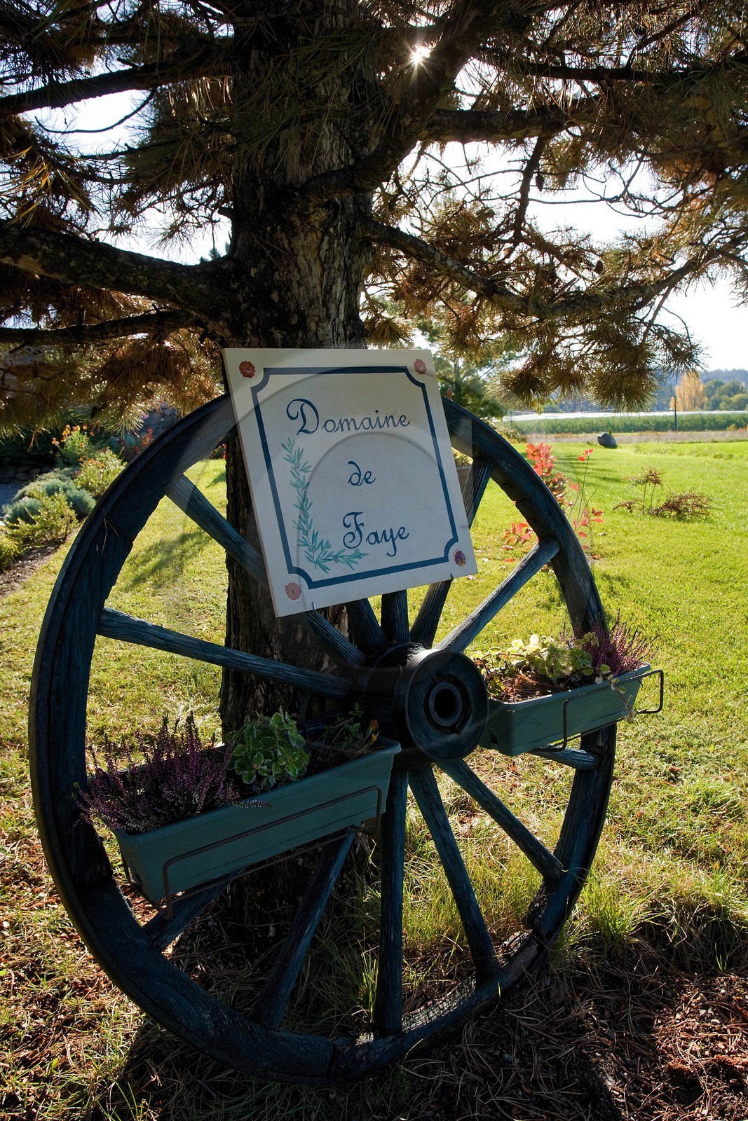 Ventavon, Chambres d'hôtes Domaine de Fay