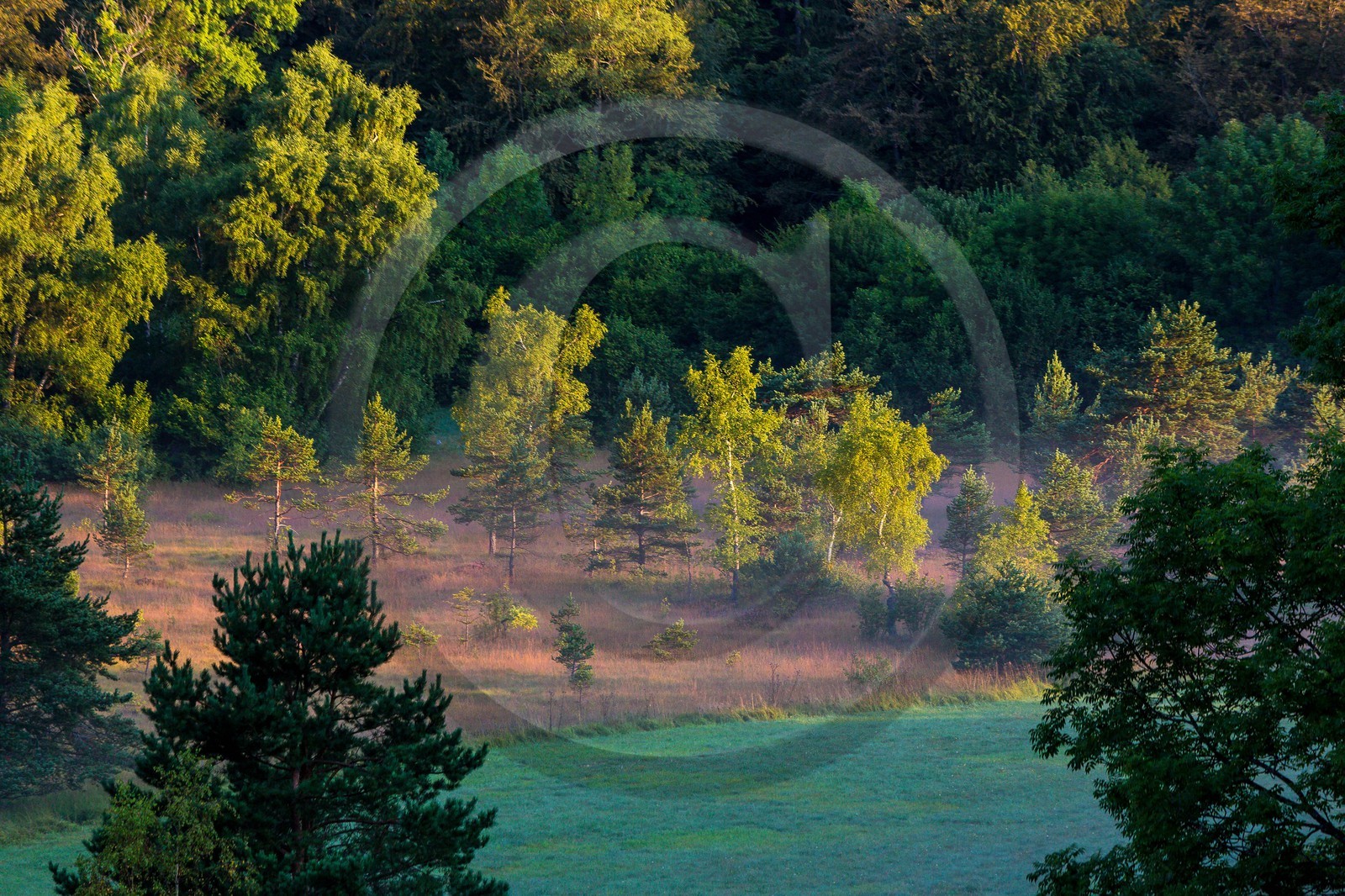 ENS de l'Isère,Tourbières du Peuil