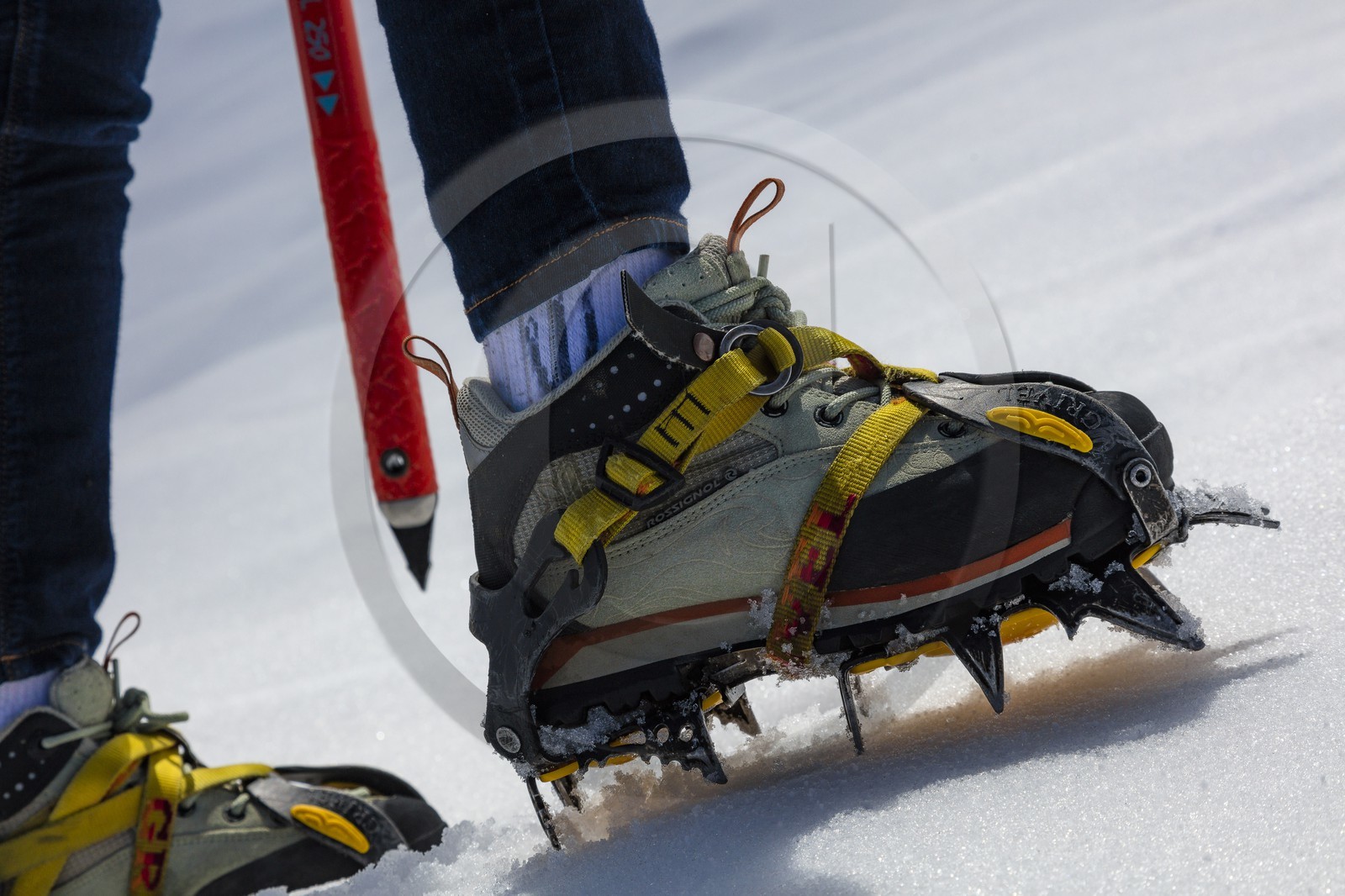 Découverte des glaciers avec Christophe Dureau, guide de haute montagne