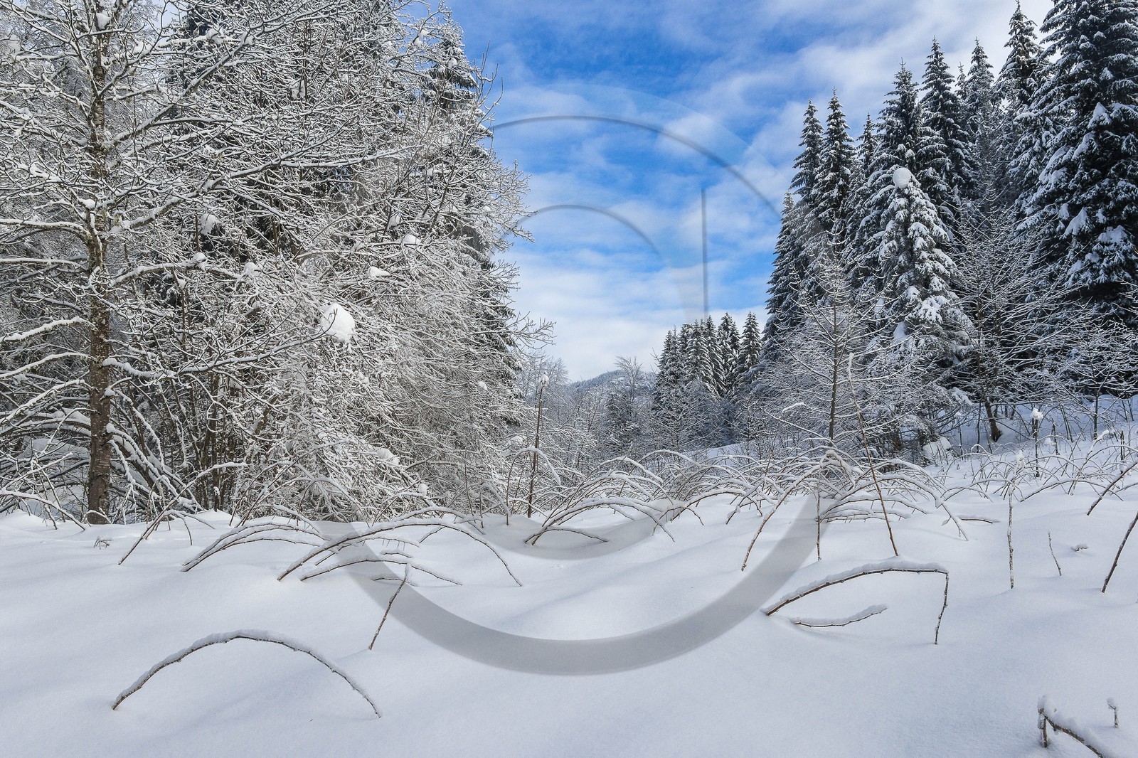 ENS de l'Isère, Les Ecouges