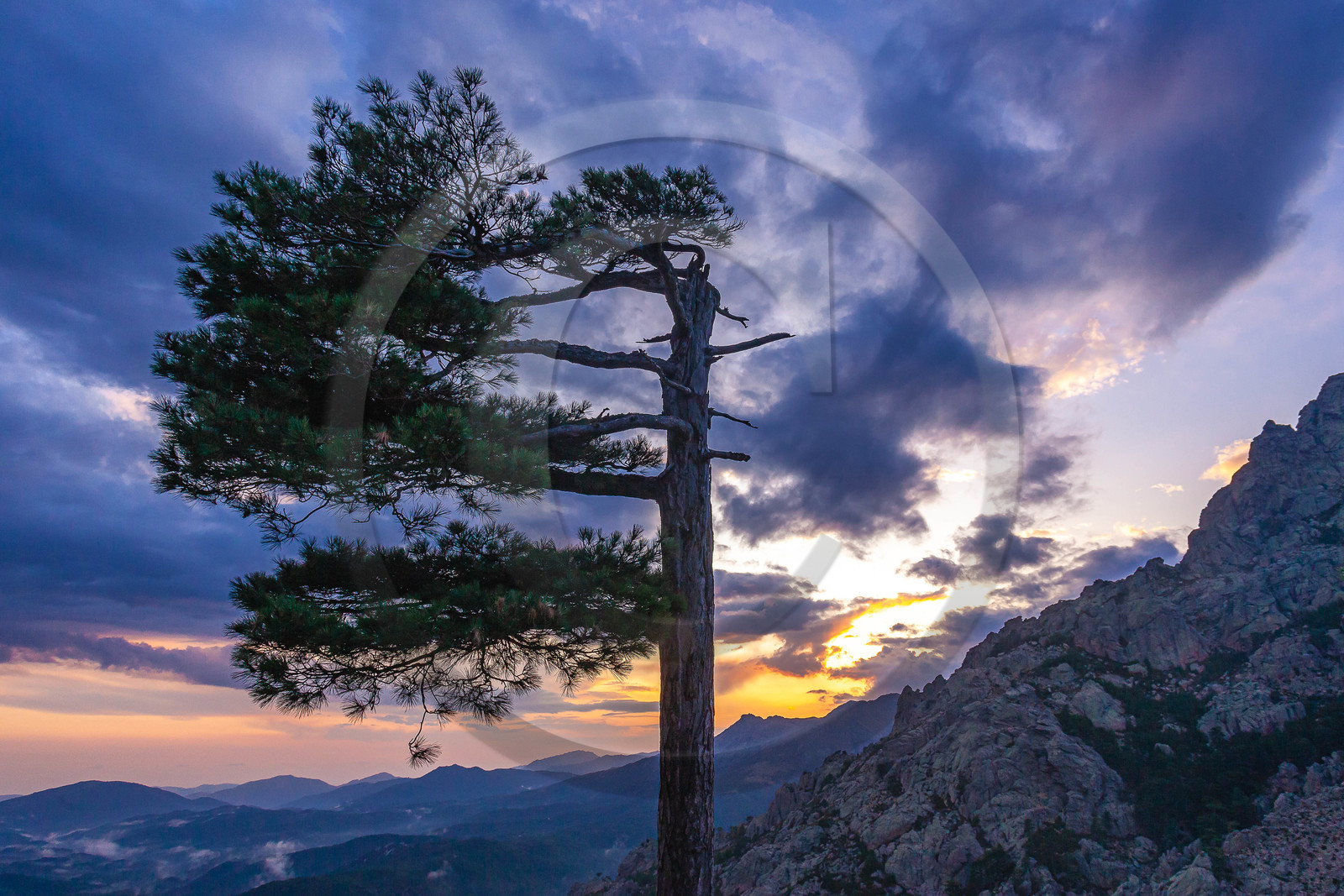 Les Aiguilles de Bavella (forchi di Bavedda )