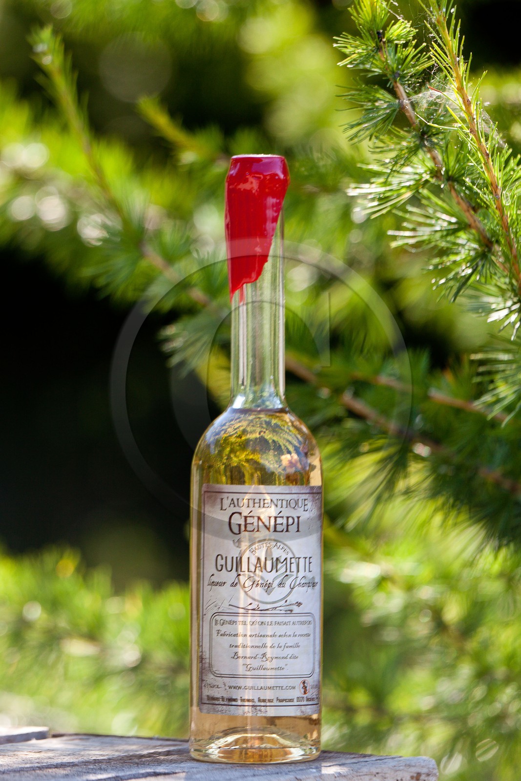 Orcières 1850, Génépi Guillaumette