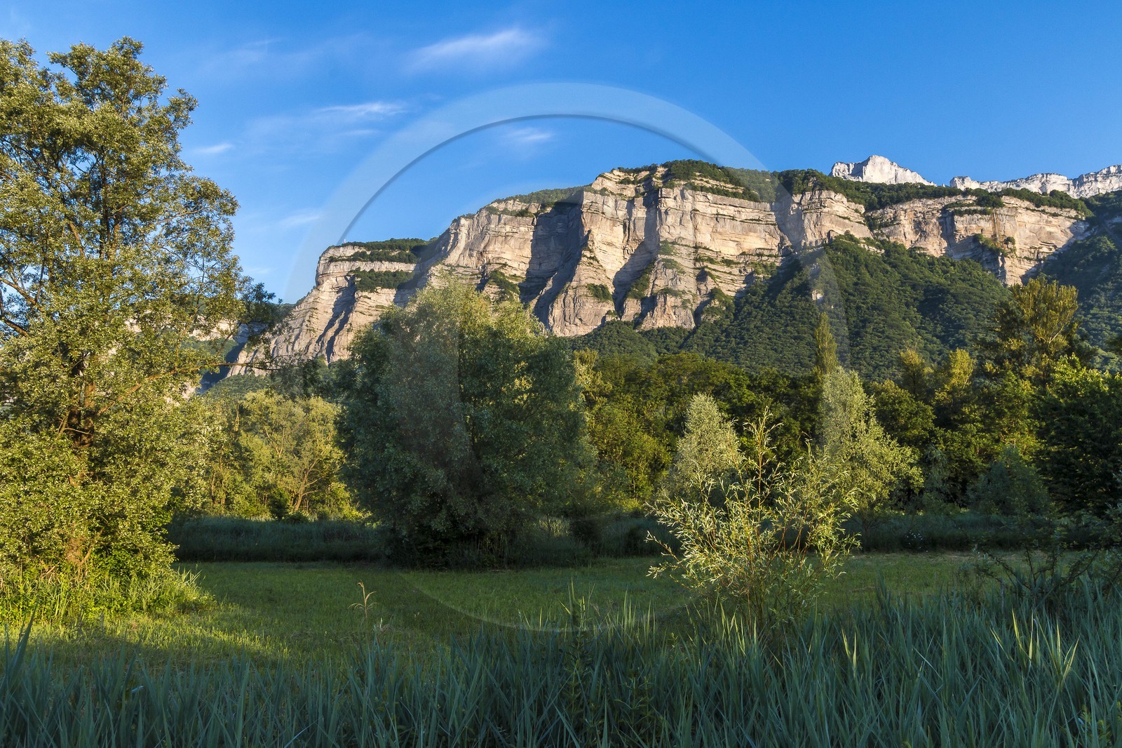 ENS de l'Isère, Marais de Montfort