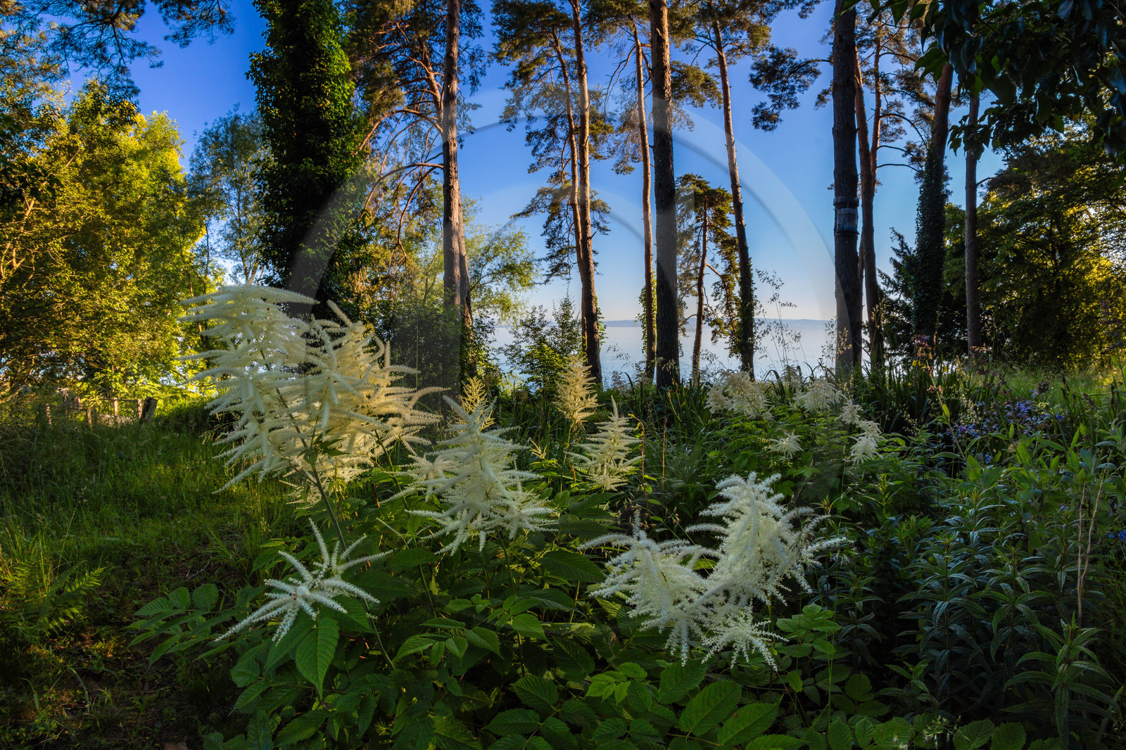 Les jardins de l'eau du Pré Curieux