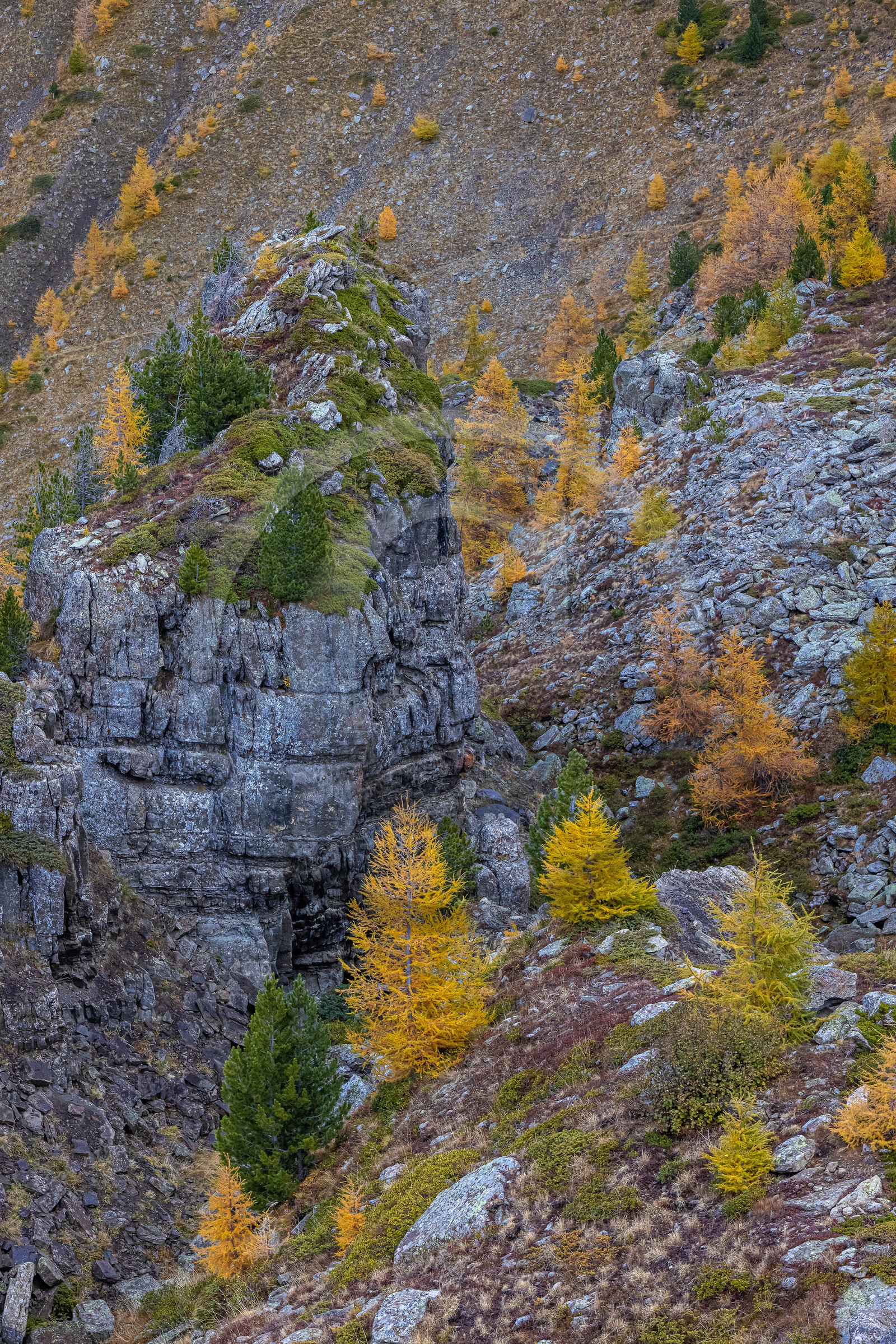 L'automne dans la Vallée du Champsaur