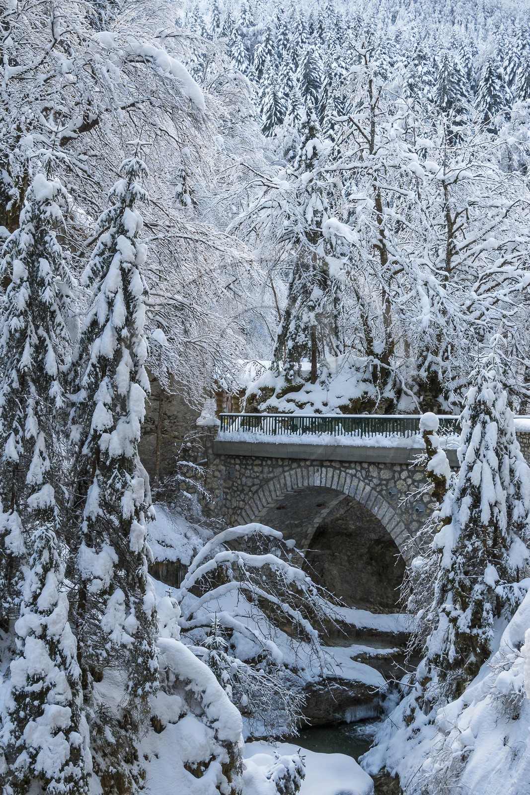 ENS de l'Isère, Les Ecouges, pont Chabert