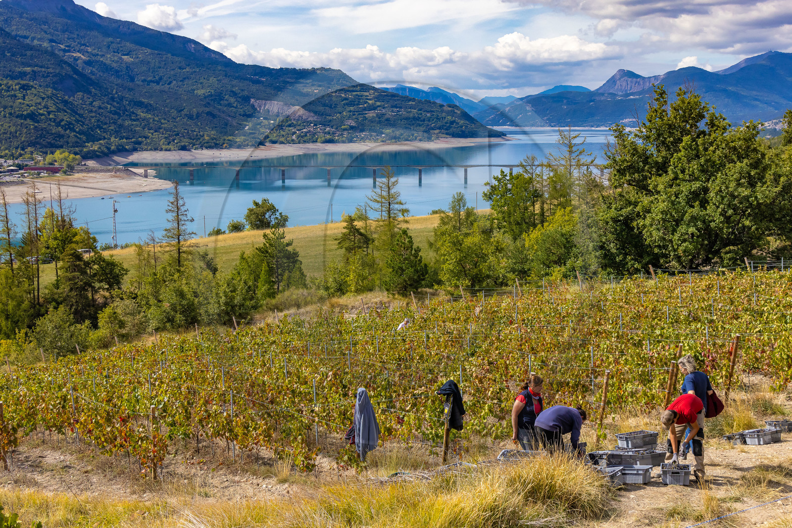 Domaine du Mont Guillaume