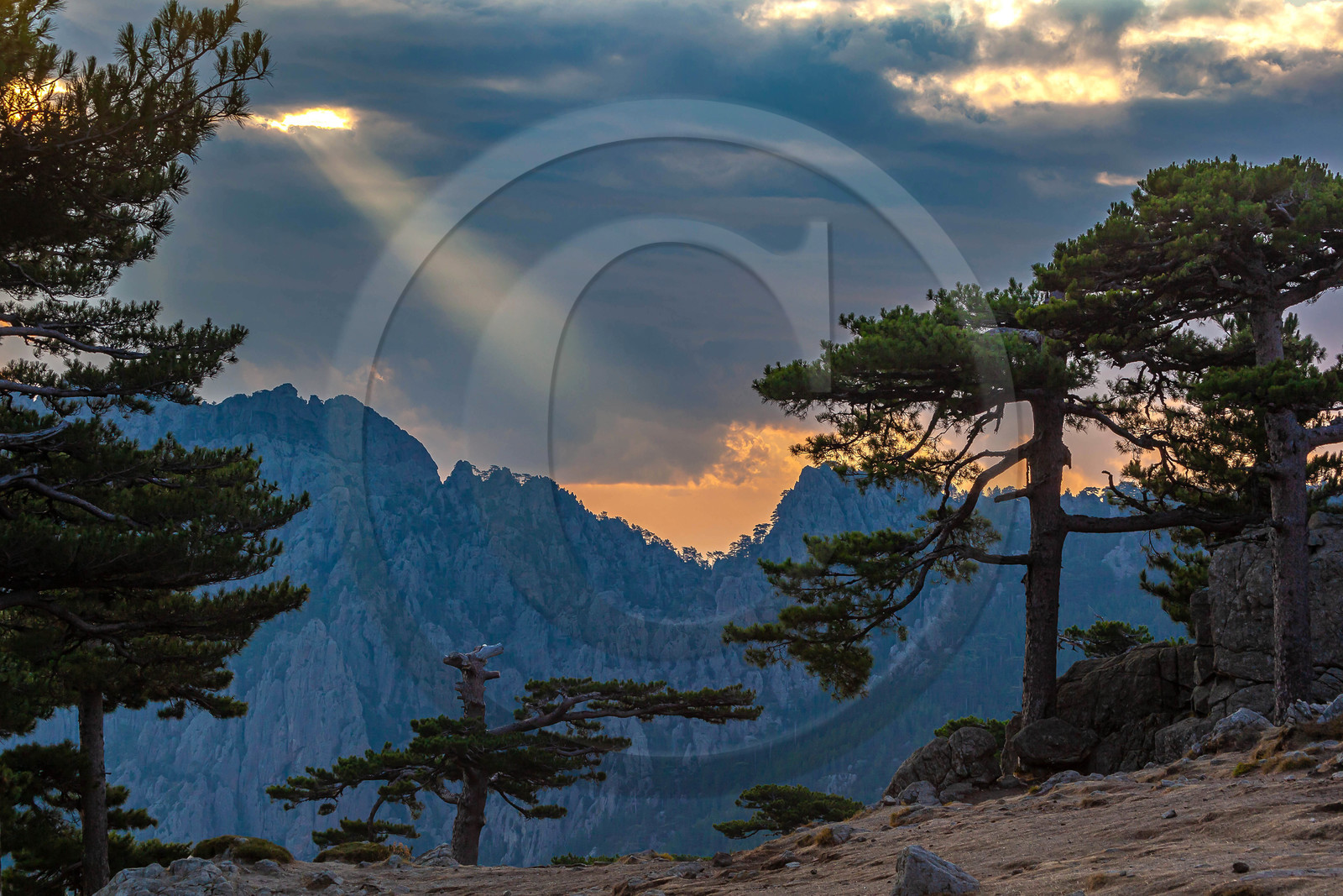 Les Aiguilles de Bavella (forchi di Bavedda )