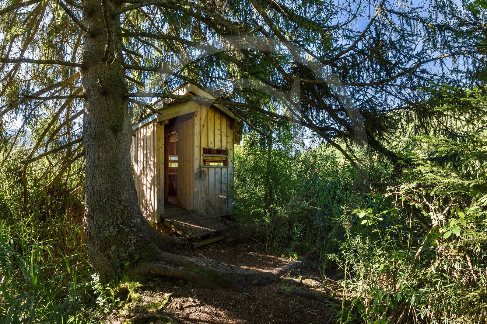 ENS de l'Isère, Marais des Sagnes