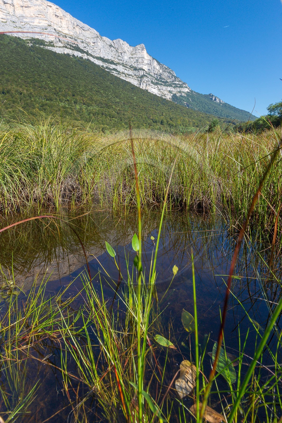 ENS de l'Isère,Tourbières du Peuil
