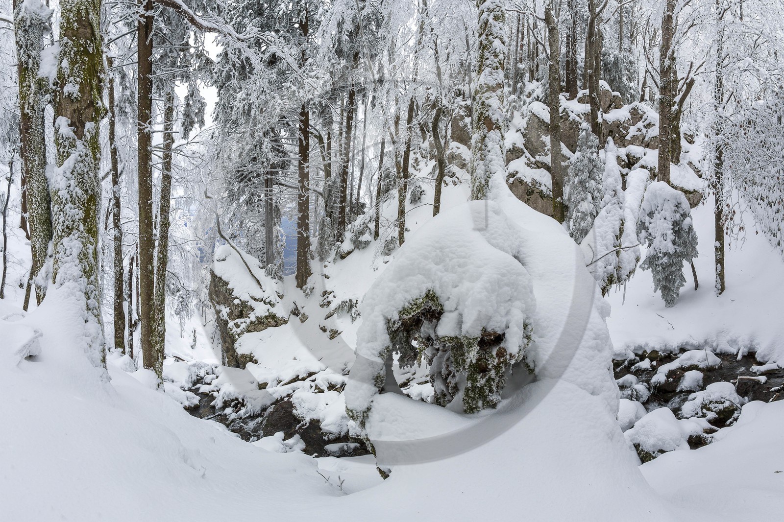 ENS de l'Isère, Les Ecouges