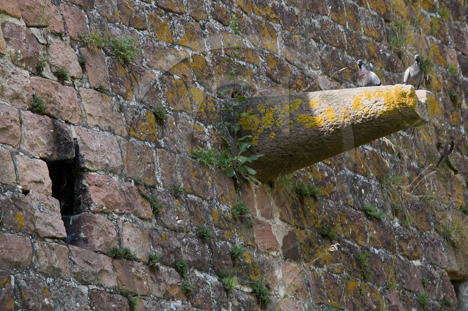 Neuf-Brisach, Fortifications Vauban inscrites au patrimoine mond