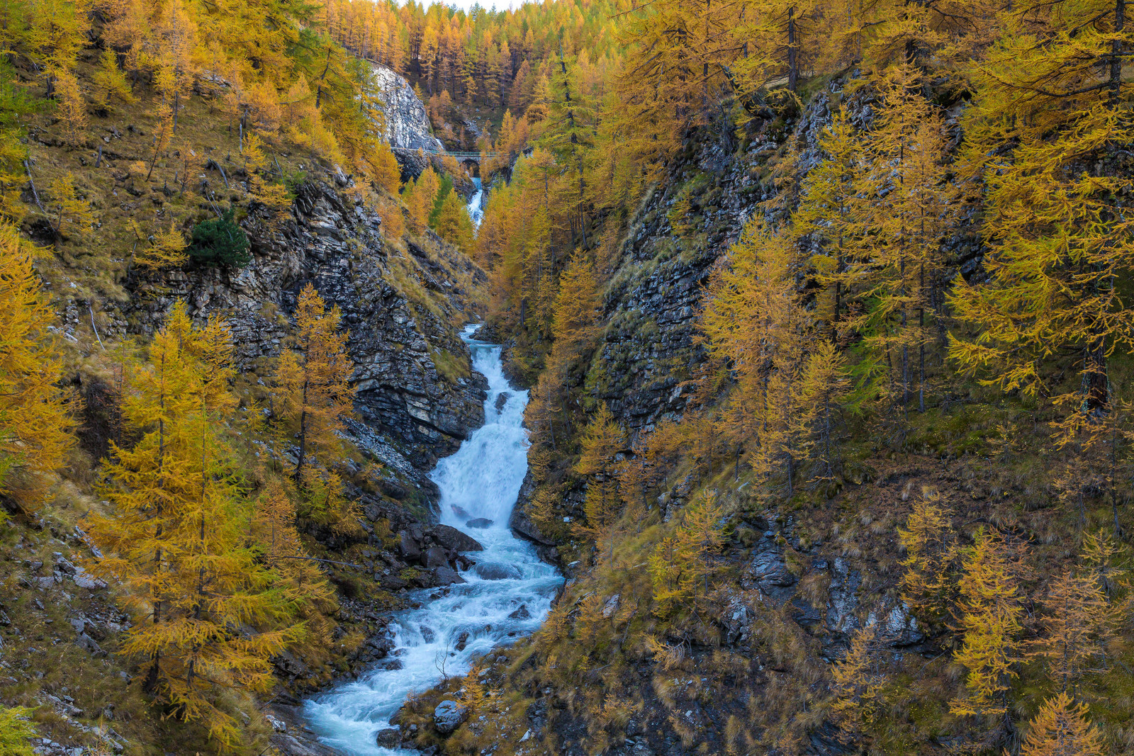 Col de la Cayolle, le Bachelard