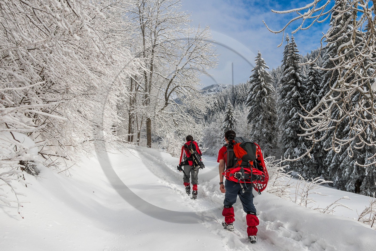 ENS de l'Isère, Les Ecouges