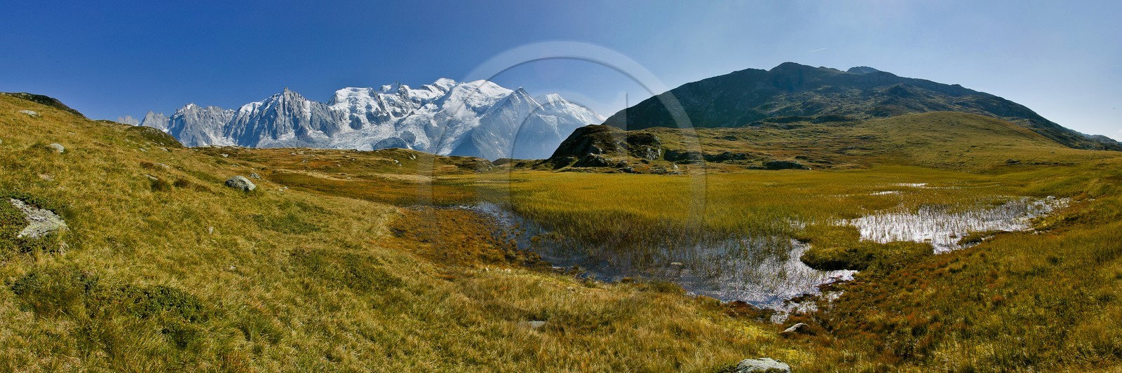 Réserve naturelle de Carlaveyron, col de Bellachat, tourbière, mare, gouille