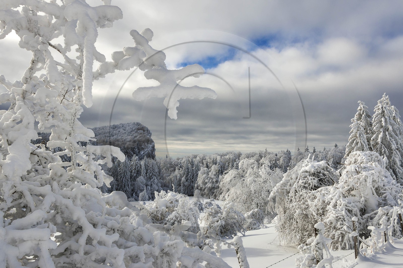 ENS de l'Isère, Les Ecouges