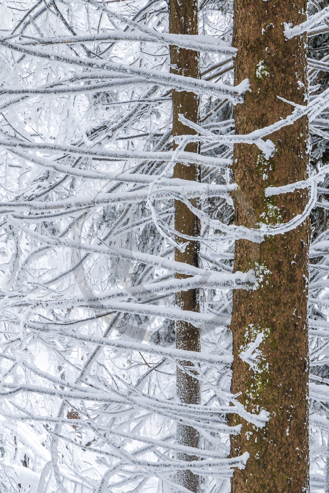 ENS de l'Isère, Les Ecouges