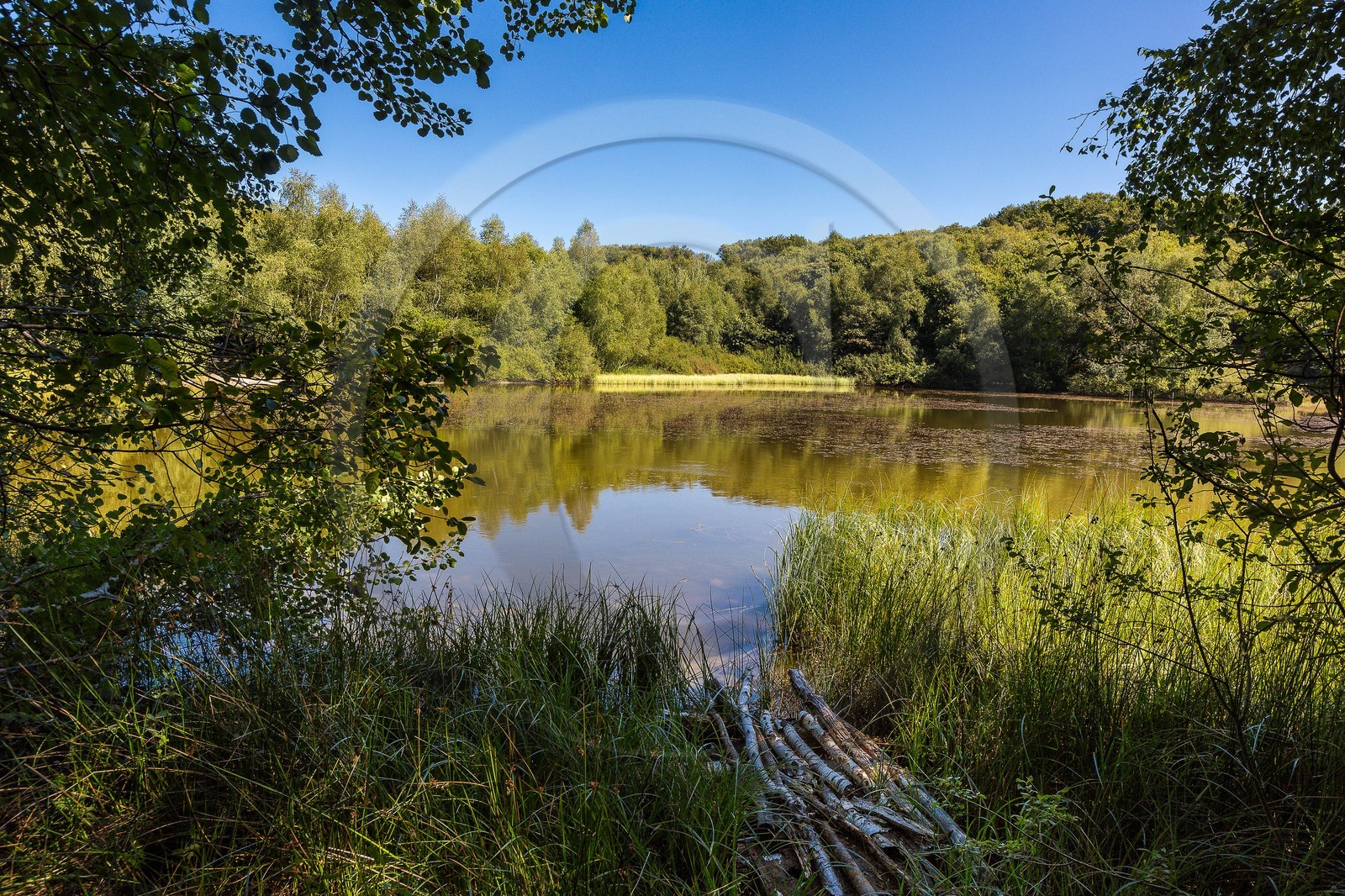 ENS de l'Isère, Etang des Béroudières
