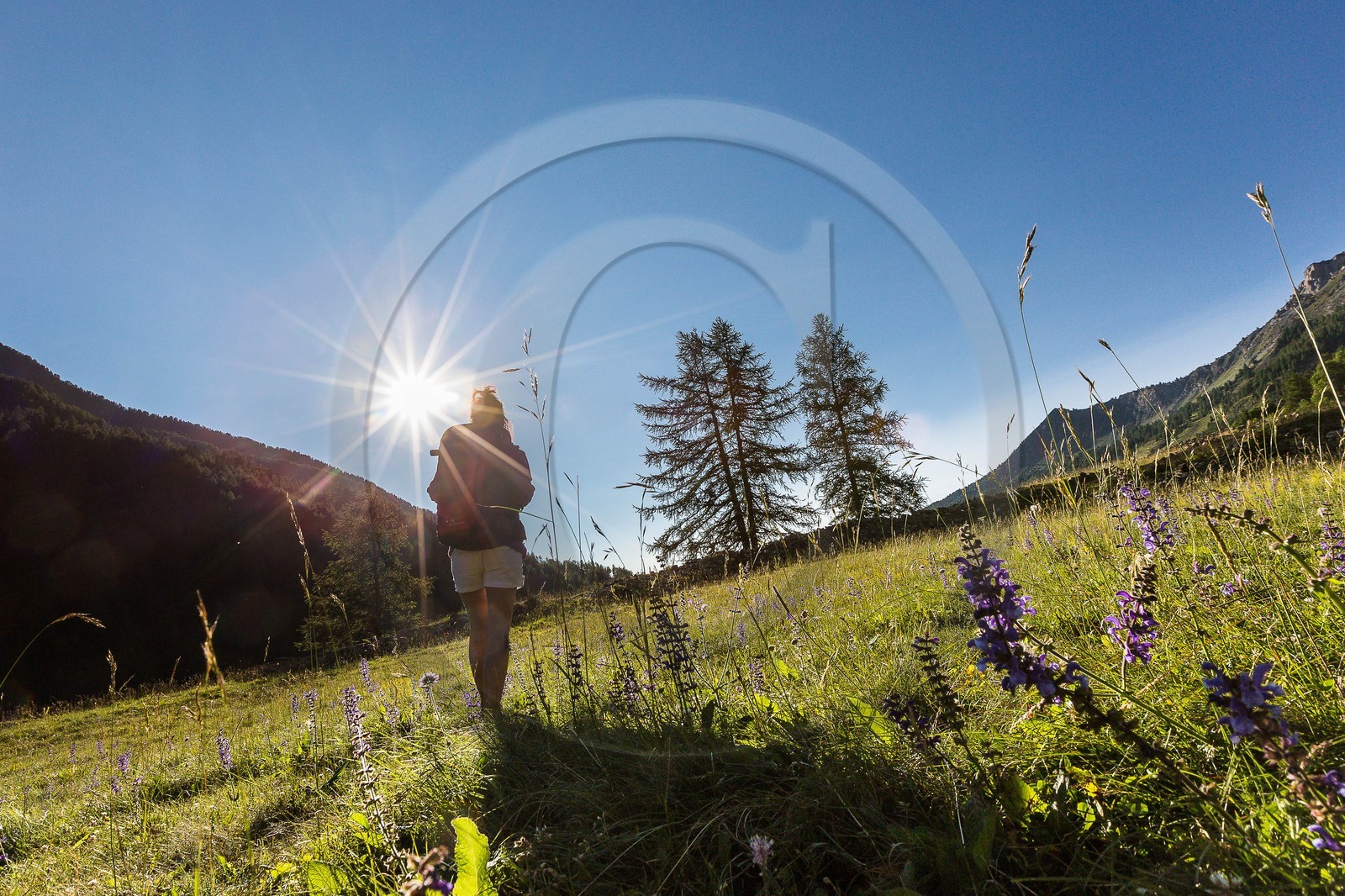Ubaye, Vallon du Laverq