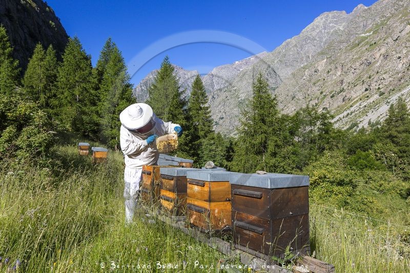 Patrick Challet apiculteur