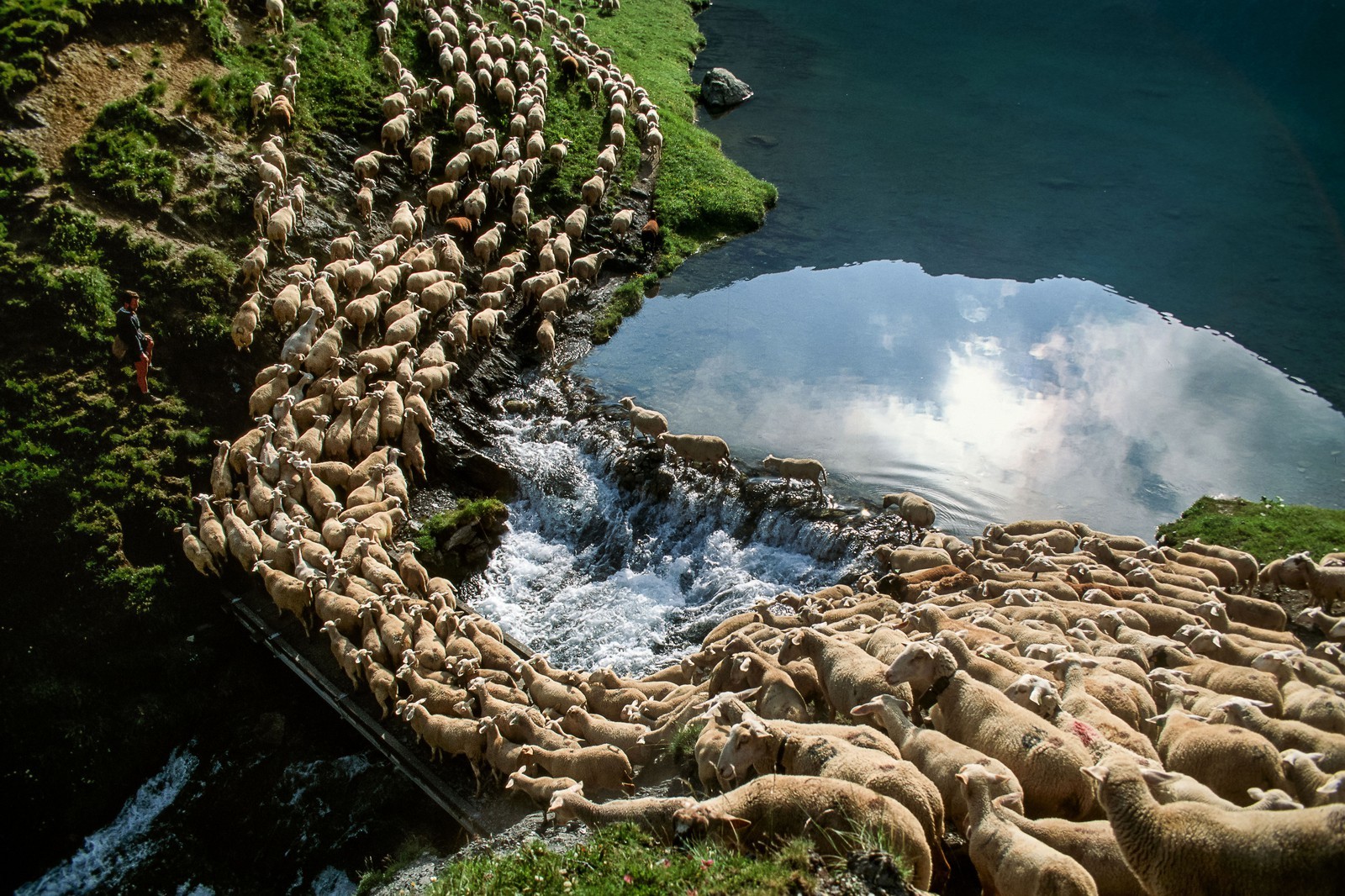Pierre Barban, berger de l'alpage de la Muzelle
