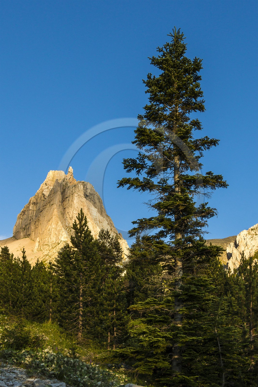 vallon de La Jarjatte