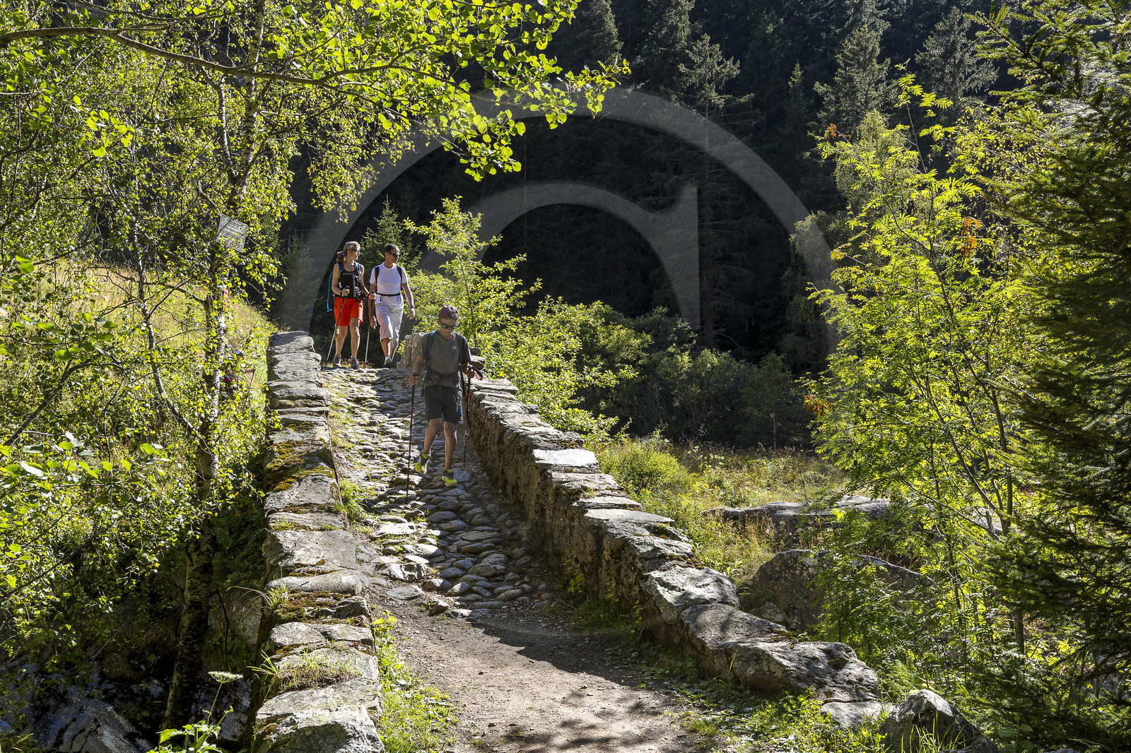 Randonnée pédestre