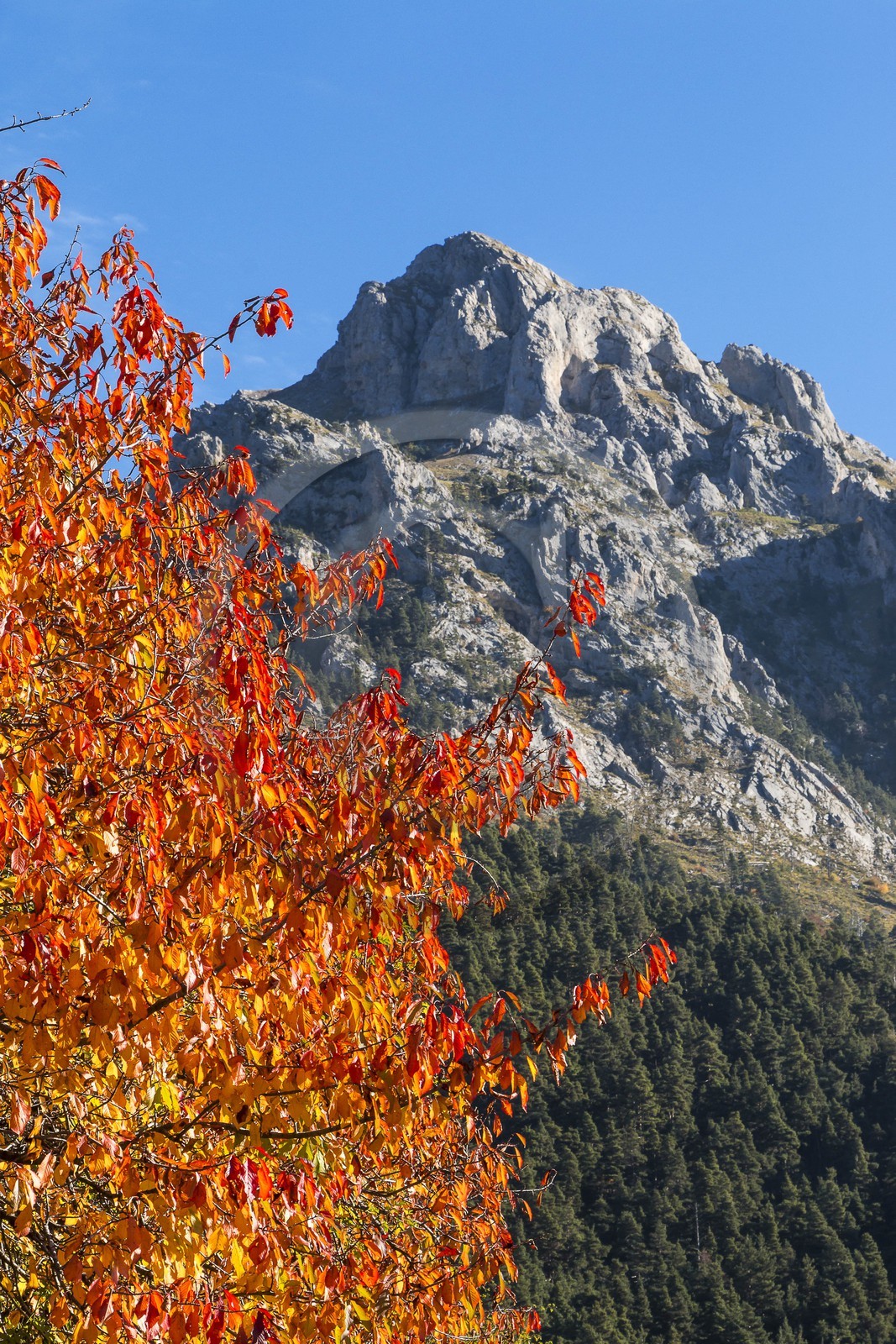Valdeblore, Baus de la Frema